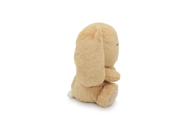 Coco the Rabbit - Image 4