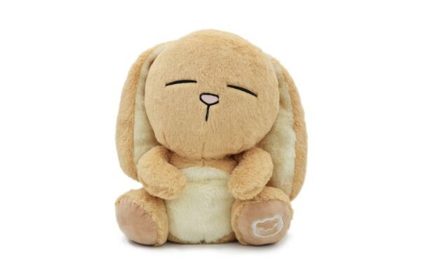 Coco the Rabbit - Image 3